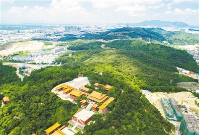 &ldquo;创森&rdquo;铸就绿色高新、宜居江海_江门_中山视窗_中山特色的地方综合门户网之一!