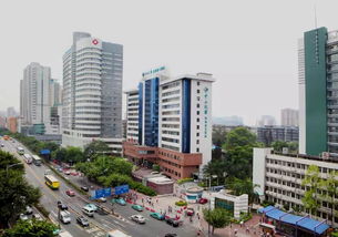 广东顶级医院排行榜发布 看病找这些医院放心