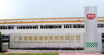 中炬高新600872 发展历程 主营结构 财务状况 分析