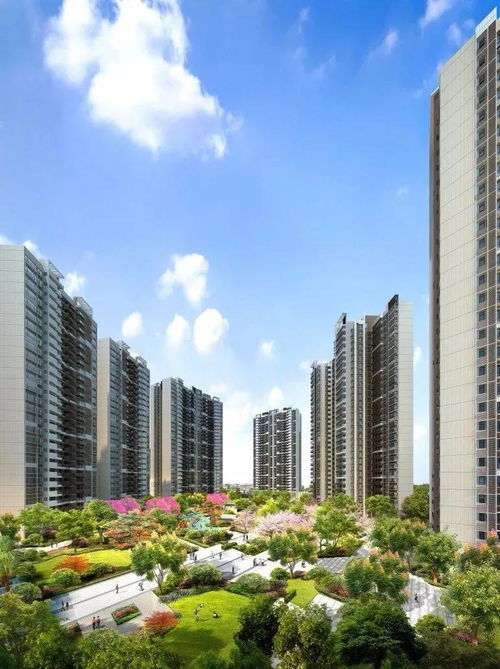 中山西区棕榈彩虹怎么回事 售楼部竟然以 底价 直销 竟然如此任性