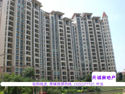 中山市天诚投资顾问 网店-商城-珠海视窗