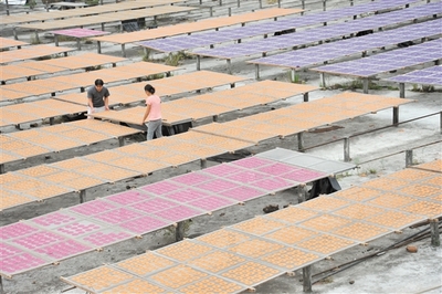 三步走打造&ldquo;世界华人香都&rdquo;_江门_中山视窗_中山特色的地方综合门户网之一!